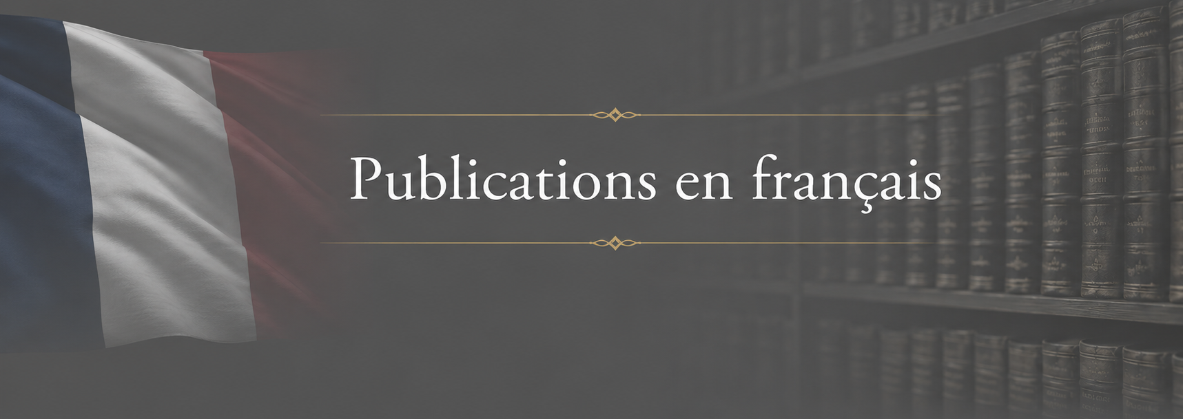 Publications en fran&ccedil;ais